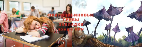 не бодяженный Алексин
