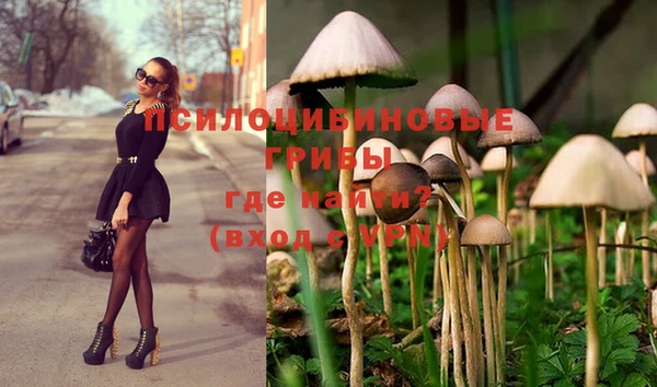 гашишное масло Алзамай