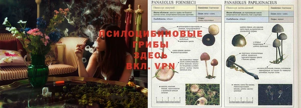 не бодяженный Алексин