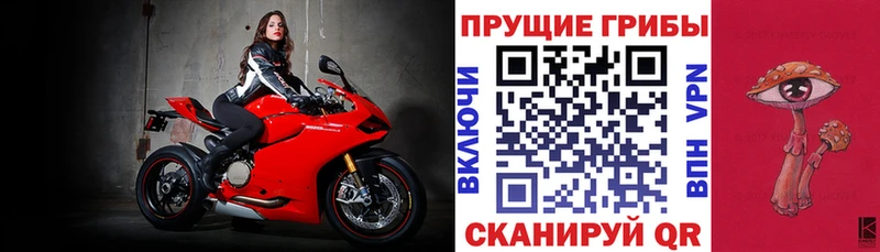 Псилоцибиновые грибы мицелий Бронницы